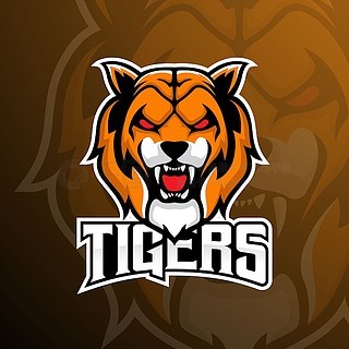 LNG Esports